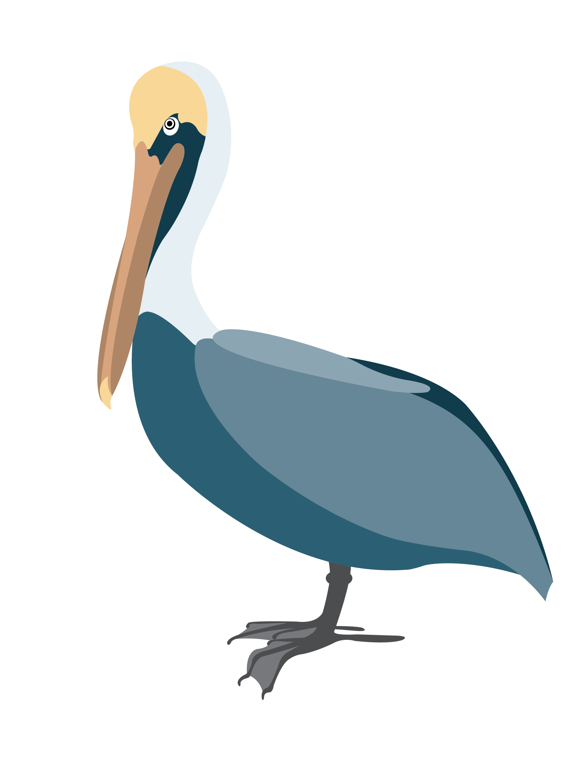 Pelican 3 Clip Art New Orleans Free Vector Clip Art